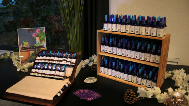 Ateliers-Pleine-Lune-Plante-medicinale-et-elixir-L-Herberaie-Arlette-Jacquemin-Lannion-5.png