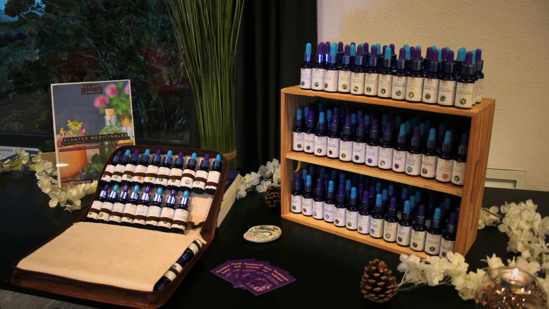 Ateliers-Pleine-Lune-Plante-medicinale-et-elixir-L-Herberaie-Arlette-Jacquemin-Lannion-5.png