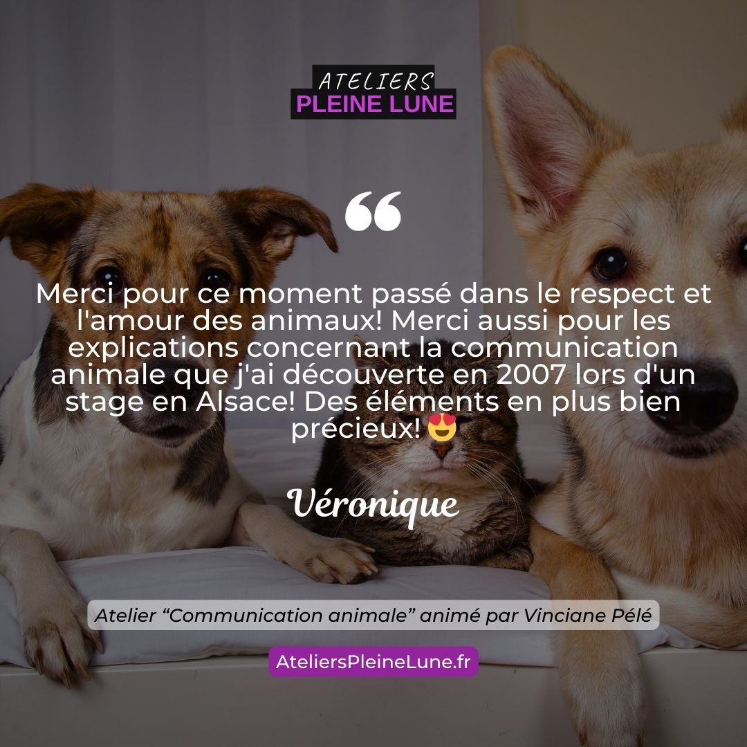 Ateliers Pleine Lune Communication animale Animavy Vinciane Pélé (1)