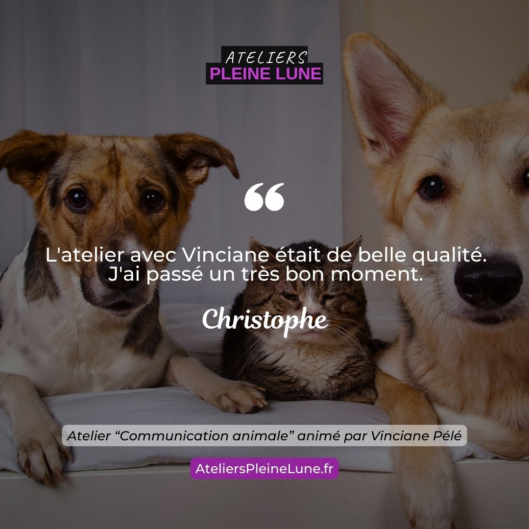 Ateliers Pleine Lune Communication animale Animavy Vinciane Pélé (2)