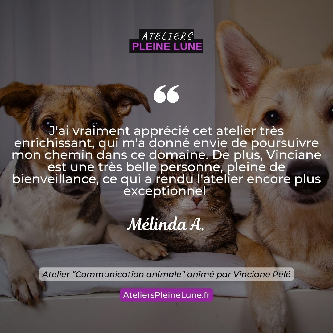 Ateliers Pleine Lune Communication animale Animavy Vinciane Pélé (3)