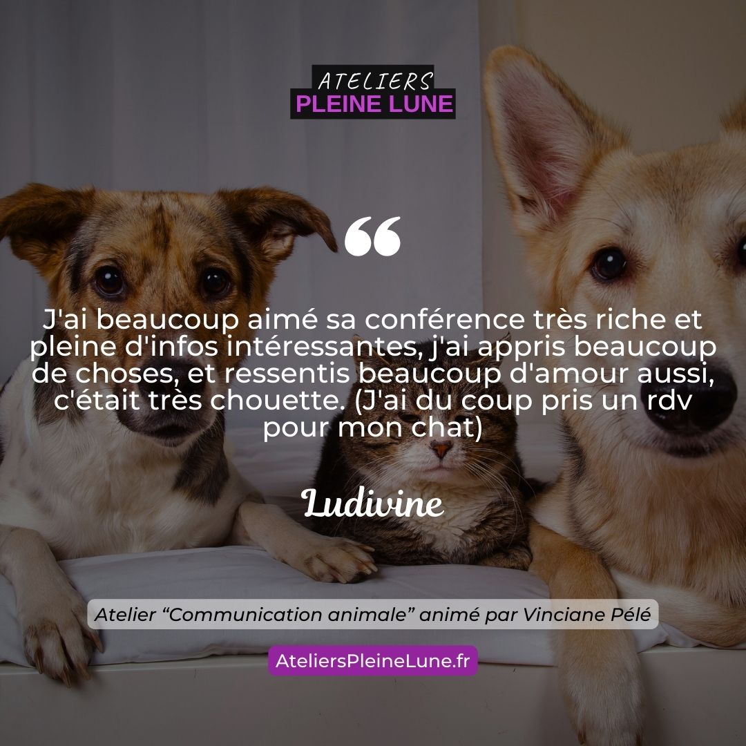 Ateliers Pleine Lune Communication animale Animavy Vinciane Pélé (4)