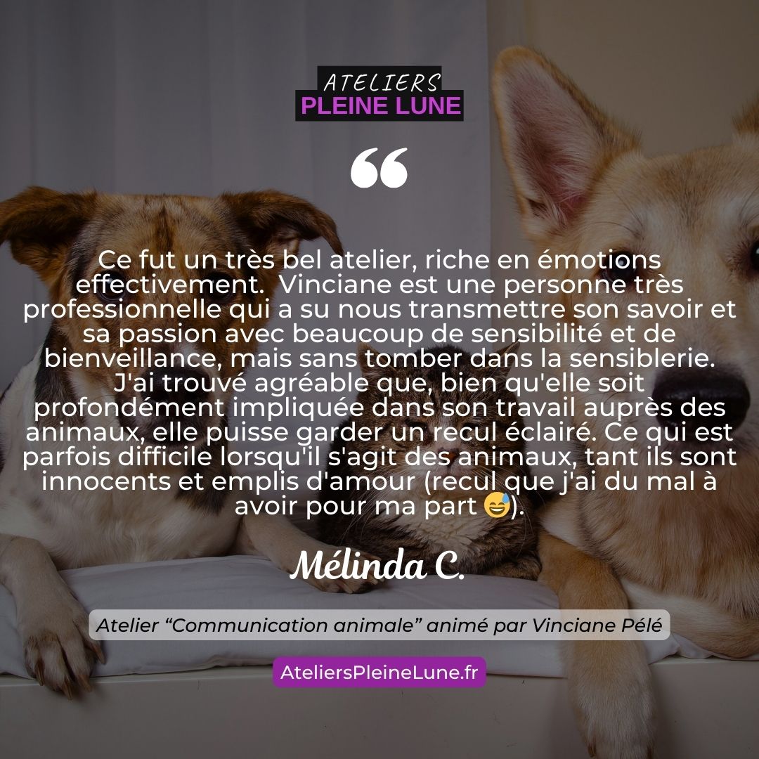 Ateliers Pleine Lune Communication animale Animavy Vinciane Pélé (5)