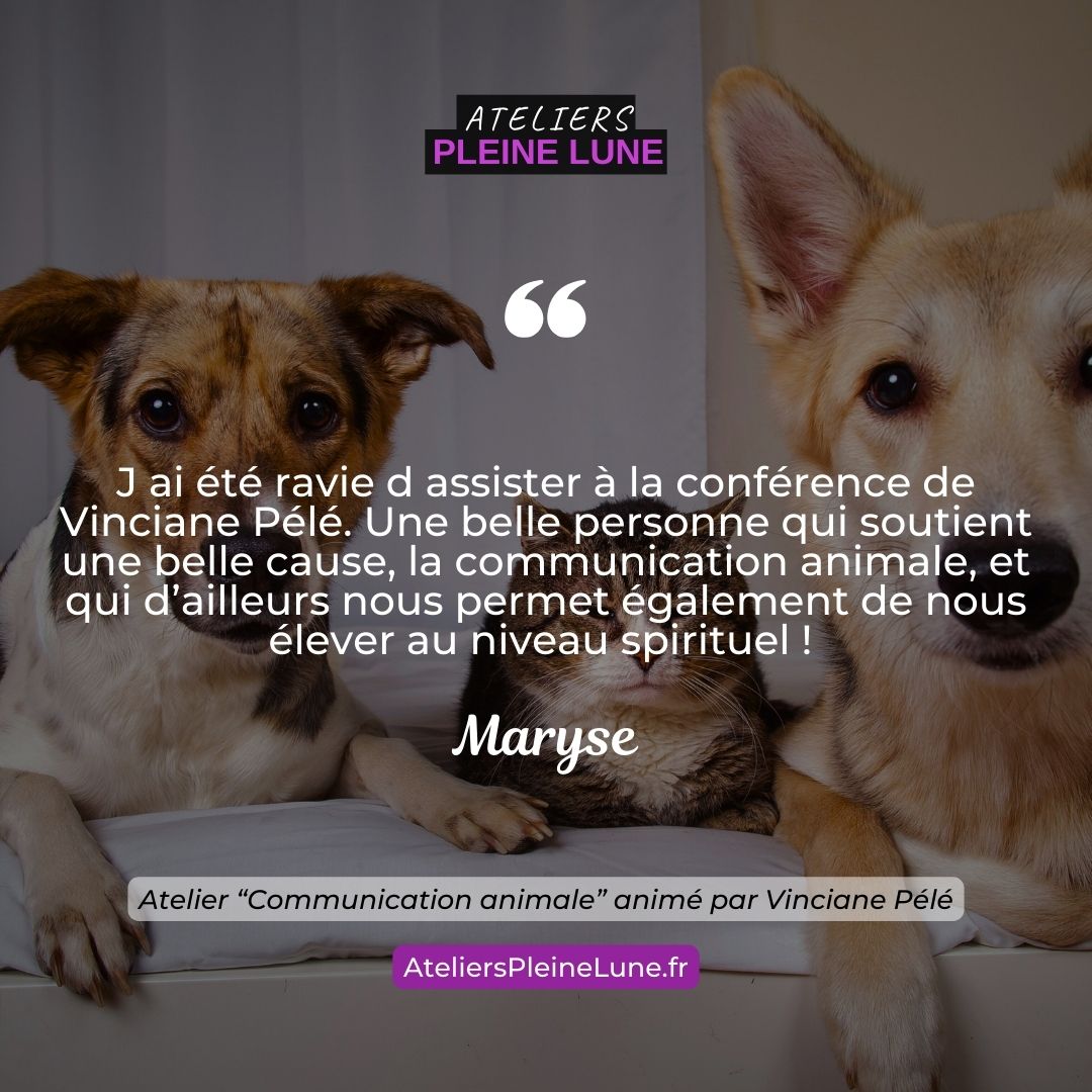 Ateliers Pleine Lune Communication animale Animavy Vinciane Pélé (6)