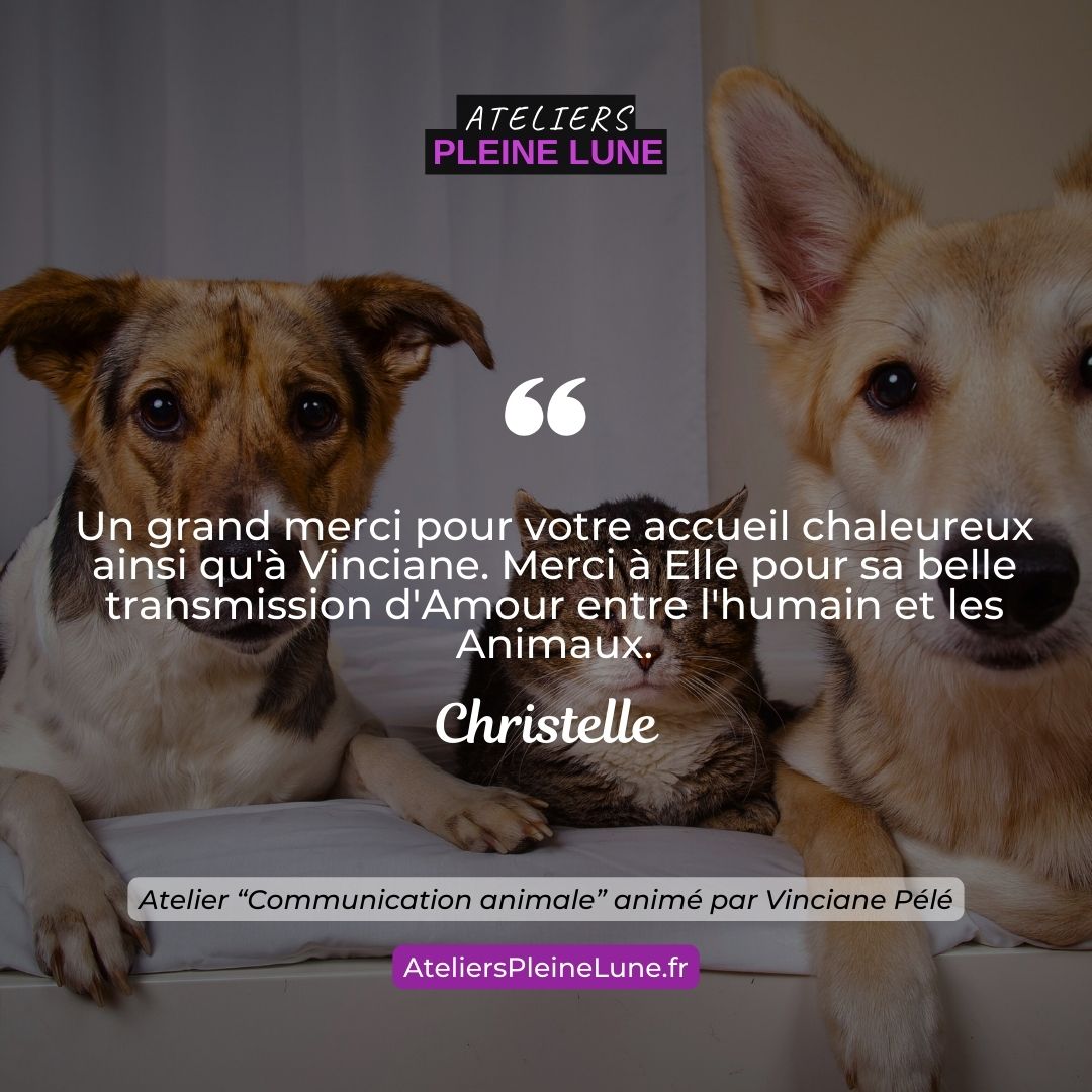Ateliers Pleine Lune Communication animale Animavy Vinciane Pélé (7)